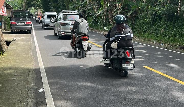 Land Lease 3400 M2 On Main Road In Mengwi Area Badung Bali