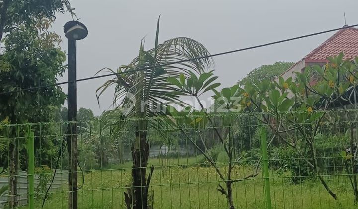 Tanah 920 M2 di Pantai Saba Gianyar Bali Tanah 920 M2 di Pantai Saba Gianyar Bali