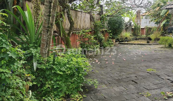Rumah Open Living Tenang Aman Nyaman Lokasi Strategis di Kawasan Kwanji Sempidi Mengwi Badung Bali 2