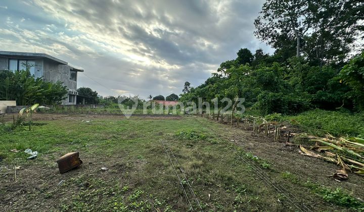 Land 770 M2 in Villa Area at Pandak Gede, Kediri, Tabanan, Bali