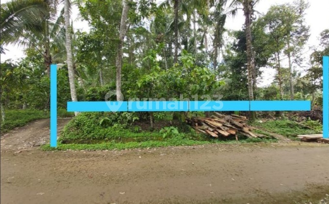 Land 1.2 Hectares with Abundant Natural Spring Water in Penebel Area, Tabanan, Bali.