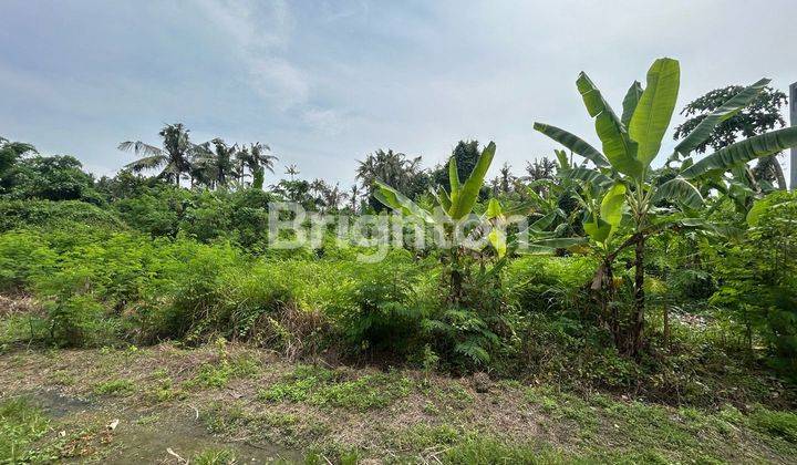 LAND IN SABA GIANYAR 2