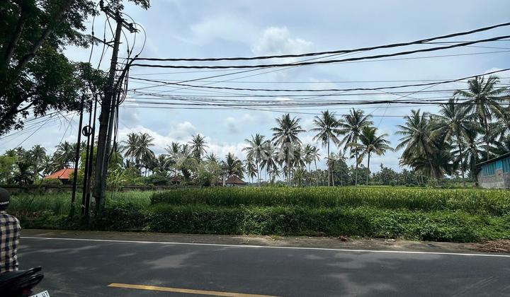 2600 M2 Leased Land Strategic Location on Main Road Sembung Mengwi Badung