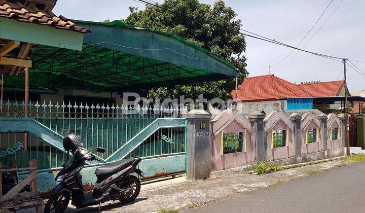 LAHAN LANGKA DI TENGAH KOTA BANYUWANGI  2