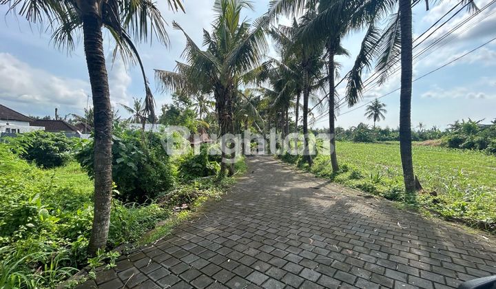 LAND IN SABA GIANYAR