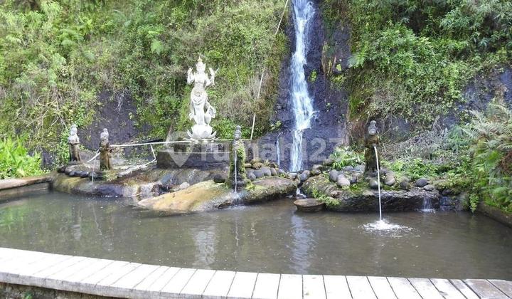 Di Sewakan Tanah 12900 M2 Konsep Eco Retreat dan Resort Site di Kawasan Tampak Siring Gianyar Bali