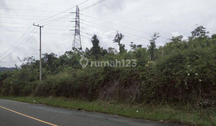 Tanah Pinggir Jalan Kuaro Untuk Investasi 2