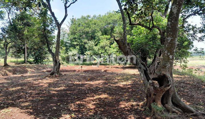 LAHAN KOSONG DI CILEUNGSI 1