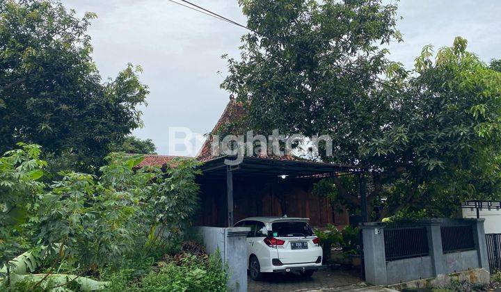 Rumah Antik Nuansa Joglo Tradisional Di Semarang 2