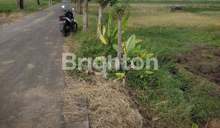 TANAH STRATEGIS DITENGAH KOTA KUDUS 2