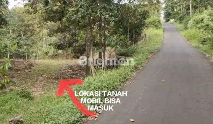 LAHAN PERKEBUNAN "AGRO", DI WILAYAH JAMBU-AMBARAWA 1