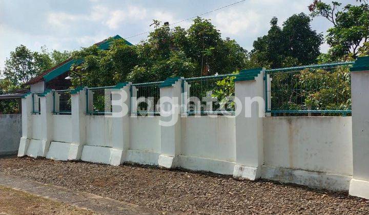 JUAL CEPAT RUMAH DAN LAHAN TERNAK BURUNG PERKUTUT DI PURWOREJO 2