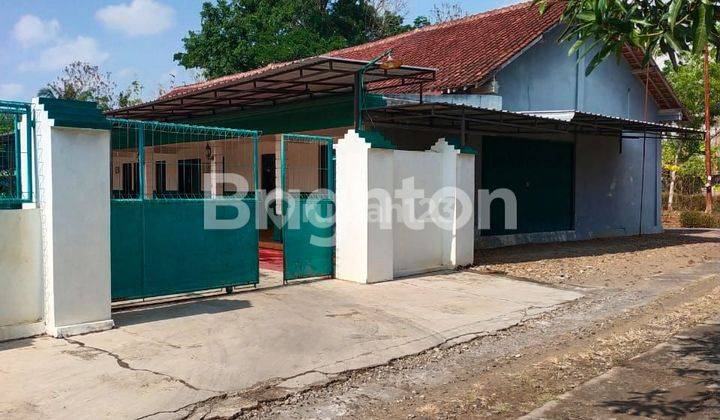 JUAL CEPAT RUMAH DAN LAHAN TERNAK BURUNG PERKUTUT DI PURWOREJO 1