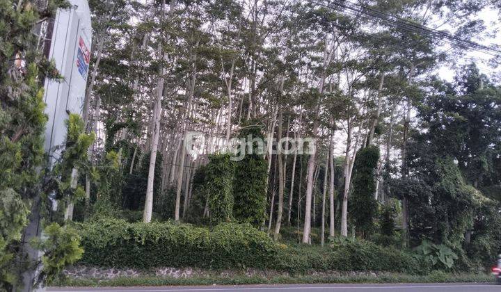 TANAH LETAK STRATEGIS, SANGAT SUBUR UNTUK KEBUN BUAH2AN JUGA COCOK UNTUK RUMAH MAKAN, PENGINAPAN, SEKOLAH 1