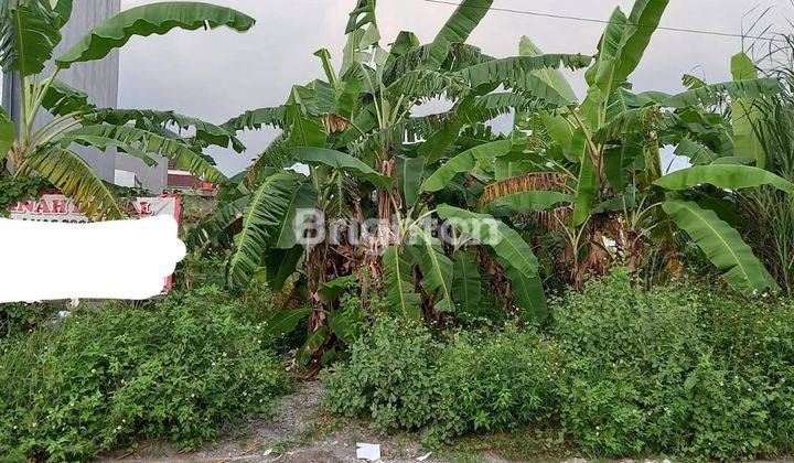 TANAH 2000 M DEKAT UNDIP TEMBALANG SEMARANG  SIAP BANGUN KOS2AN 1