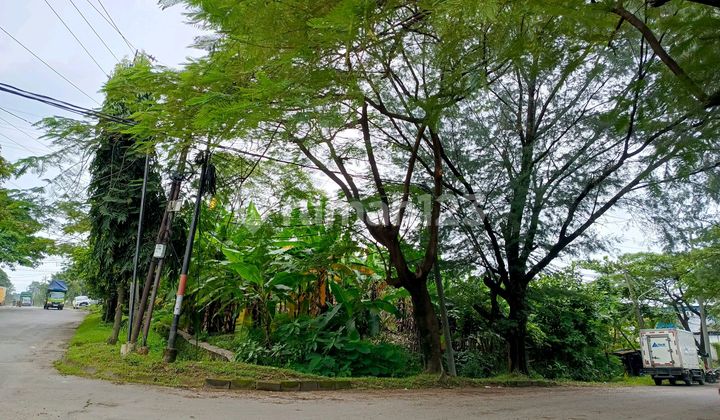 Hook Land in the Candi Industrial Area, Its Ground Contour Is Already Higher Than the Road in Front of It 2