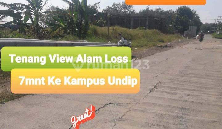 Tanah Di Rowosari Dengan View Alam, Dekat Undip Tembalang 2