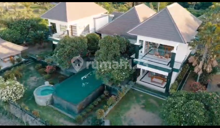 Luxury Investment Villa Near Lovina Beach - 3 Buildings, Fully Furnished