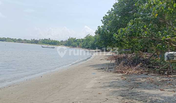 Tanah Los Pantai SHM 2,3 Ha - Sebelah Pantai Karang Rata, Bali Utara Tanah Los Pantai SHM 2,3 Ha - Sebelah Pantai Karang Rata, Bali Utara