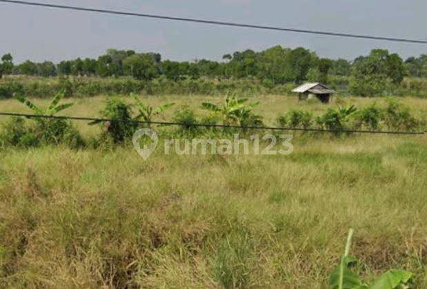 Industrial Land Zero Tegal Pemalang Provincial Road (North Coast)