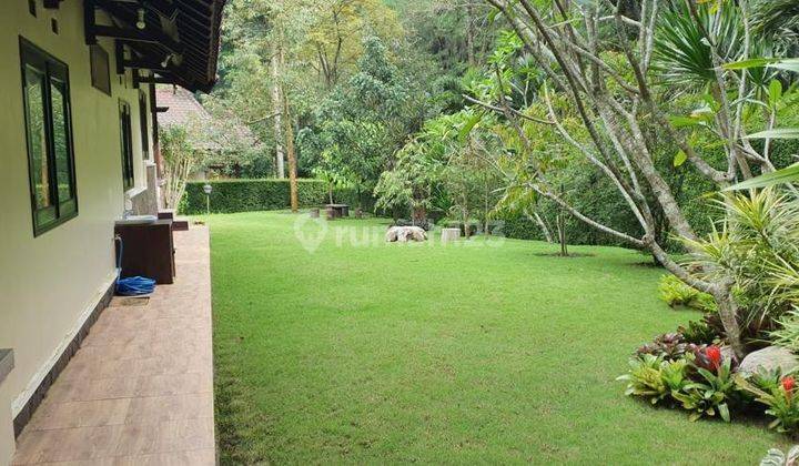 Villa Grand Trawas view hutan pinus, atap masih kayu, terawat 1