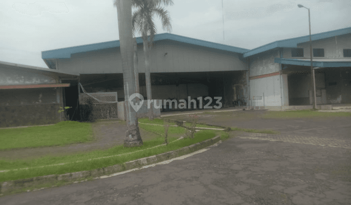 Dijual Or Disewakan Ex Pabrik di Pasuruan, Ada Cold Storage 1