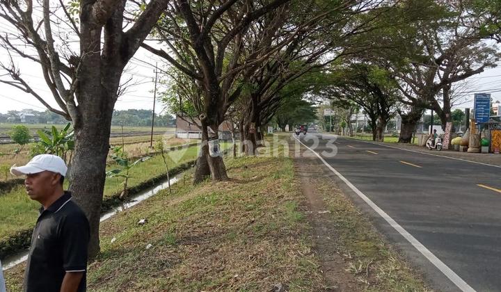 Dijual Lahan Industri Noll Jalan Provinsi Ngawi, Lokasi Sangat Strategis