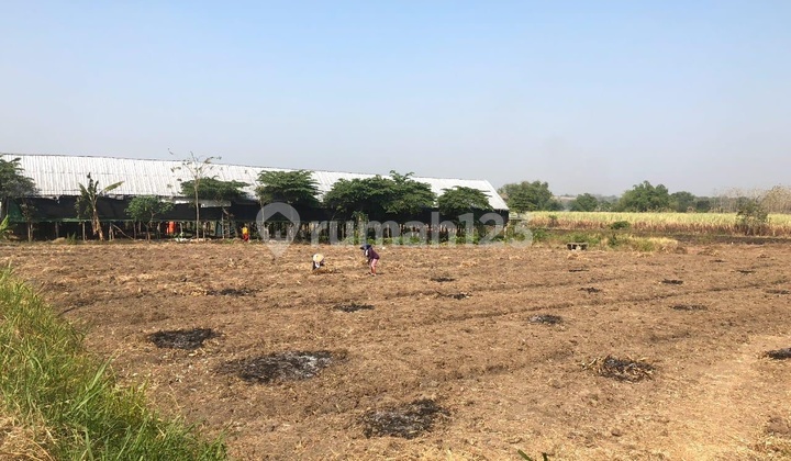 Kavling Industri Dawar Blandong Mojokerto, Jalan Sudah Aspal