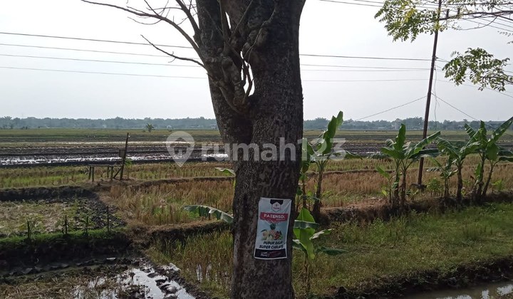 Dijual Lahan Industri Noll Jalan Provinsi Ngawi, Lokasi Sangat Strategis