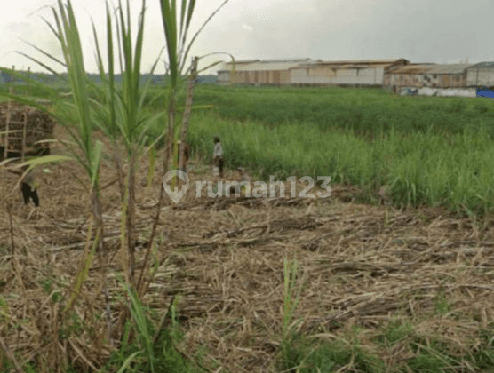 Lahan Industri Plososari Mojokerto, Ada Sungai di Belakang Lahan 1