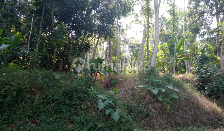 For Sale: Residential Land in a Strategic Location Near Batang Industrial Center For Sale: Residential Land in a Strategic Location Near Batang Industrial Center
