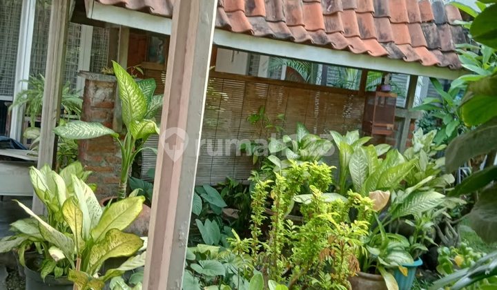 Dijual Rumah Tengah Kota di Jalan Kaca Piring, Sangat Strategis  2