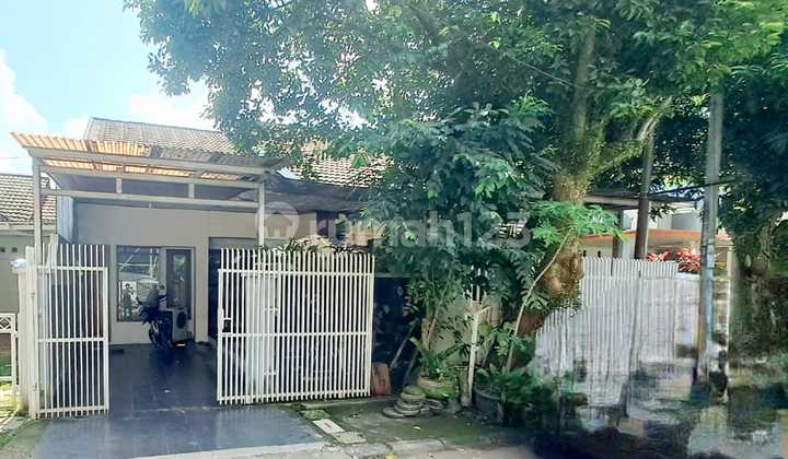 Rumah Minimalis Sederhana Bsd Kencana Loka