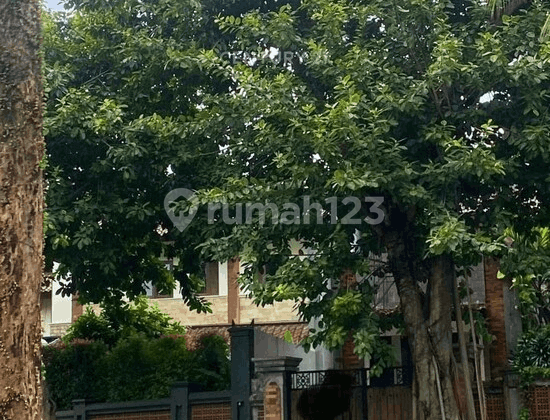 Dijual Rumah Siap Huni Gaya Bali di Cirendeu LT 600M2 LB 450M2 2