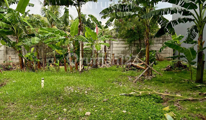 Flat Land Plot for Sale Ready to Build in Kebayoran Bintaro Flat Land Plot for Sale Ready to Build in Kebayoran Bintaro