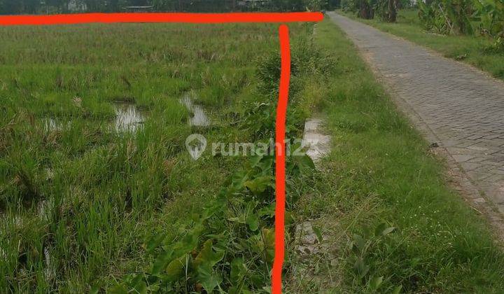 Jual Tanah Pertanian Strategis di Desa Nguken,Padangan,Bojonegoro 2
