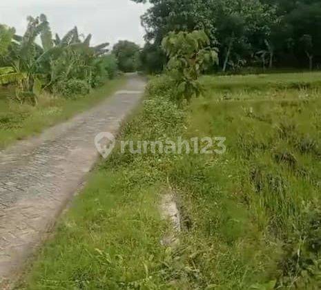 Jual Tanah Pertanian Strategis di Desa Nguken,Padangan,Bojonegoro 1