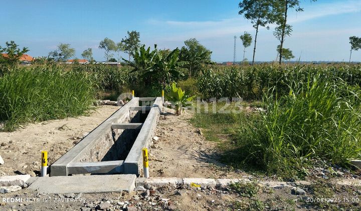 Affordable SHM Land Plots Starting from IDR 79 Million in Pasar Menganti Area Affordable SHM Land Plots Starting from IDR 79 Million in Pasar Menganti Area