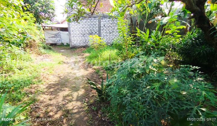 Cheap Land 60m² Size Location Menganti Gresik Cheap Land 60m² Size Location Menganti Gresik