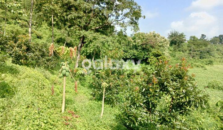 Tanah kebun dan Rumah Warugunung Dekat Wisata Pacet Mini Park Mojokerto 2