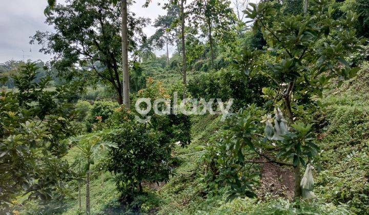 Tanah kebun dan Rumah Warugunung Dekat Wisata Pacet Mini Park Mojokerto