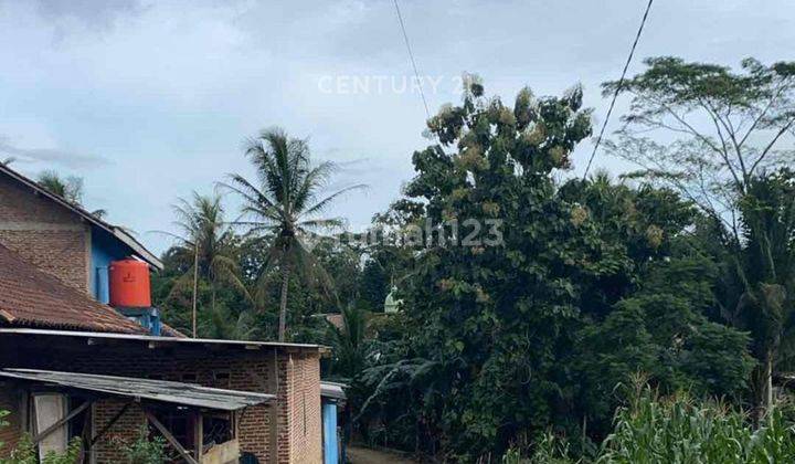 Tanah Luas Akses Dekat Tol Di Lampung Selatan S8427 2