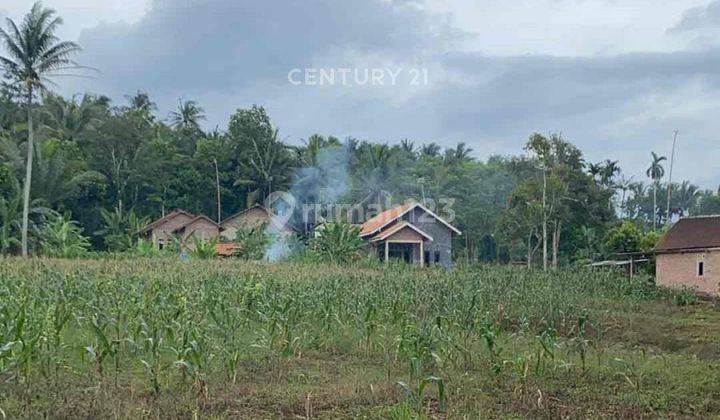 Tanah Luas Cocok Untuk Usaha Industri Di Lampung Selatan S8428 1