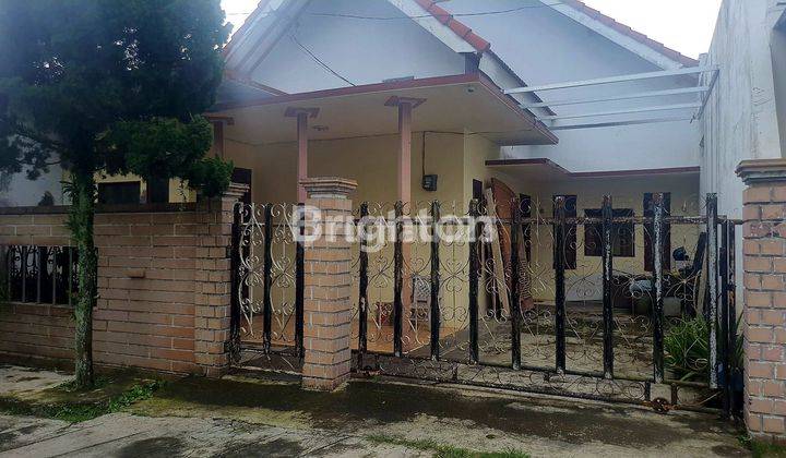 Rumah Bangunan Lama dan Plafon Tinggi 1