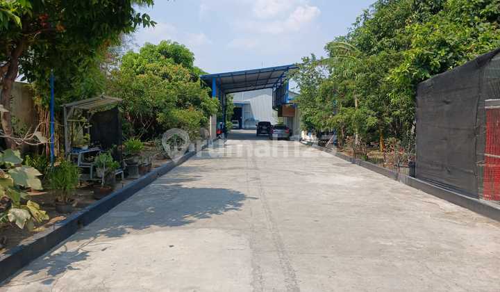 Special Warehouse Container Access Special Warehouse Container Access