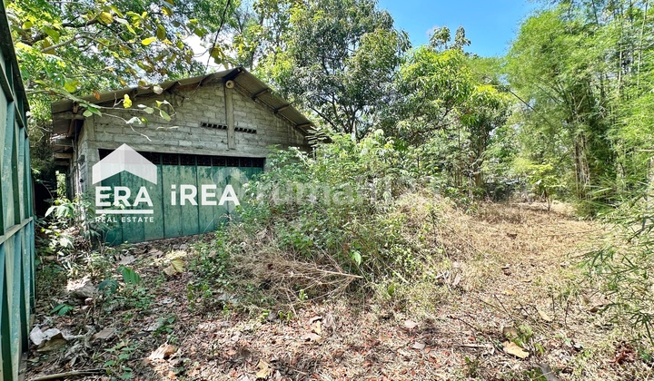 For Sale: Land and Ready-to-Use Warehouse in Sambi Boyolali For Sale: Land and Ready-to-Use Warehouse in Sambi Boyolali