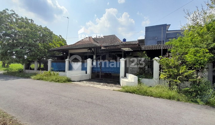 Solo House for Sale Near Jih Hospital Surakarta Solo House for Sale Near Jih Hospital Surakarta