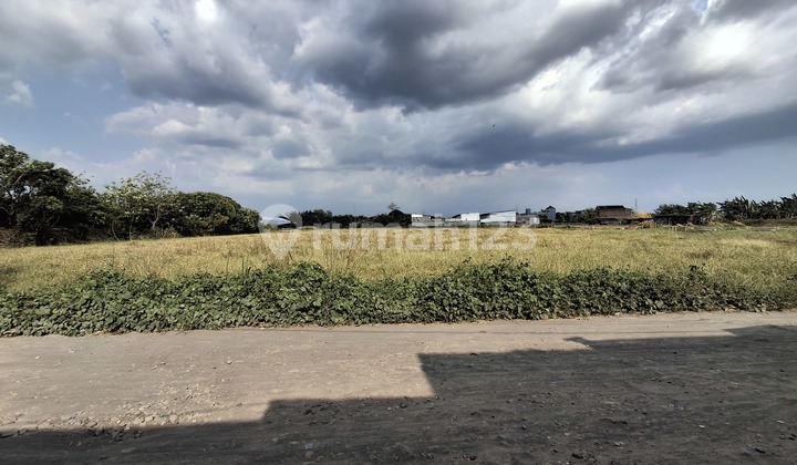 Affordable Land for Sale Near Solo Baru, Suitable for Warehouses or Housing Affordable Land for Sale Near Solo Baru, Suitable for Warehouses or Housing