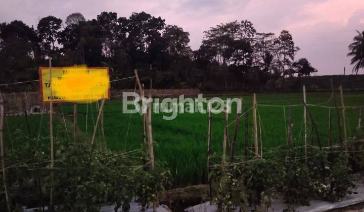 TANAH STRATEGIS RAMAI PINGGIR JALAN ANTAR KOTA MALANG KEDIRI 2