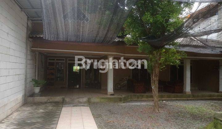 rumah tinggal n rmh walet dijual harga tanahnya saja 1